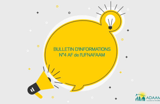 Bulletin d’infos n°4 AF de l’UFNAFAAM