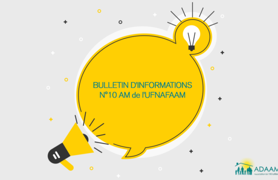 Bulletin d’infos n°10 AM de l’UFNAFAAM