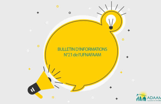 Bulletin d’infos n°21 AM de l’UFNAFAAM